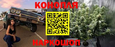 jwh Бугуруслан