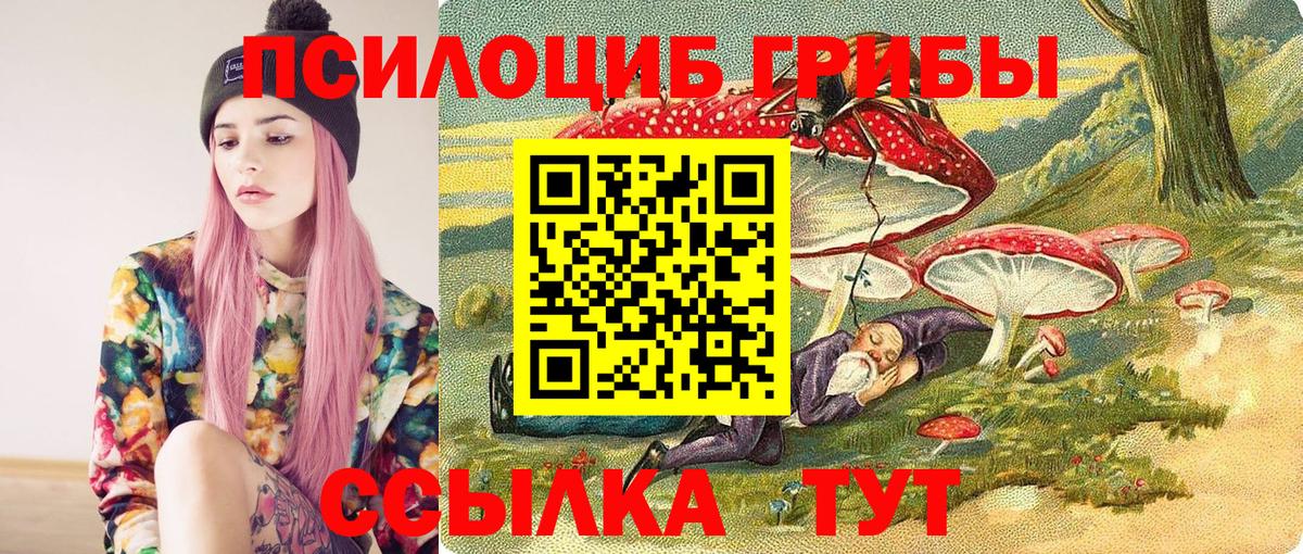 Галлюциногенные грибы Psilocybe  Галлюциногенные грибы Cubensis  Приморско-Ахтарск  Вход с VPN 