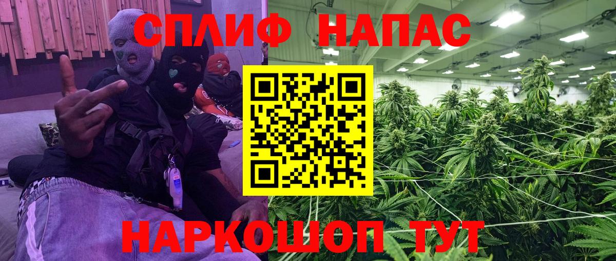Каннабис ГИДРОПОН  Конопля планчик  Бошки Шишки SATIVA & INDICA  Вход с VPN  Приморско-Ахтарск 